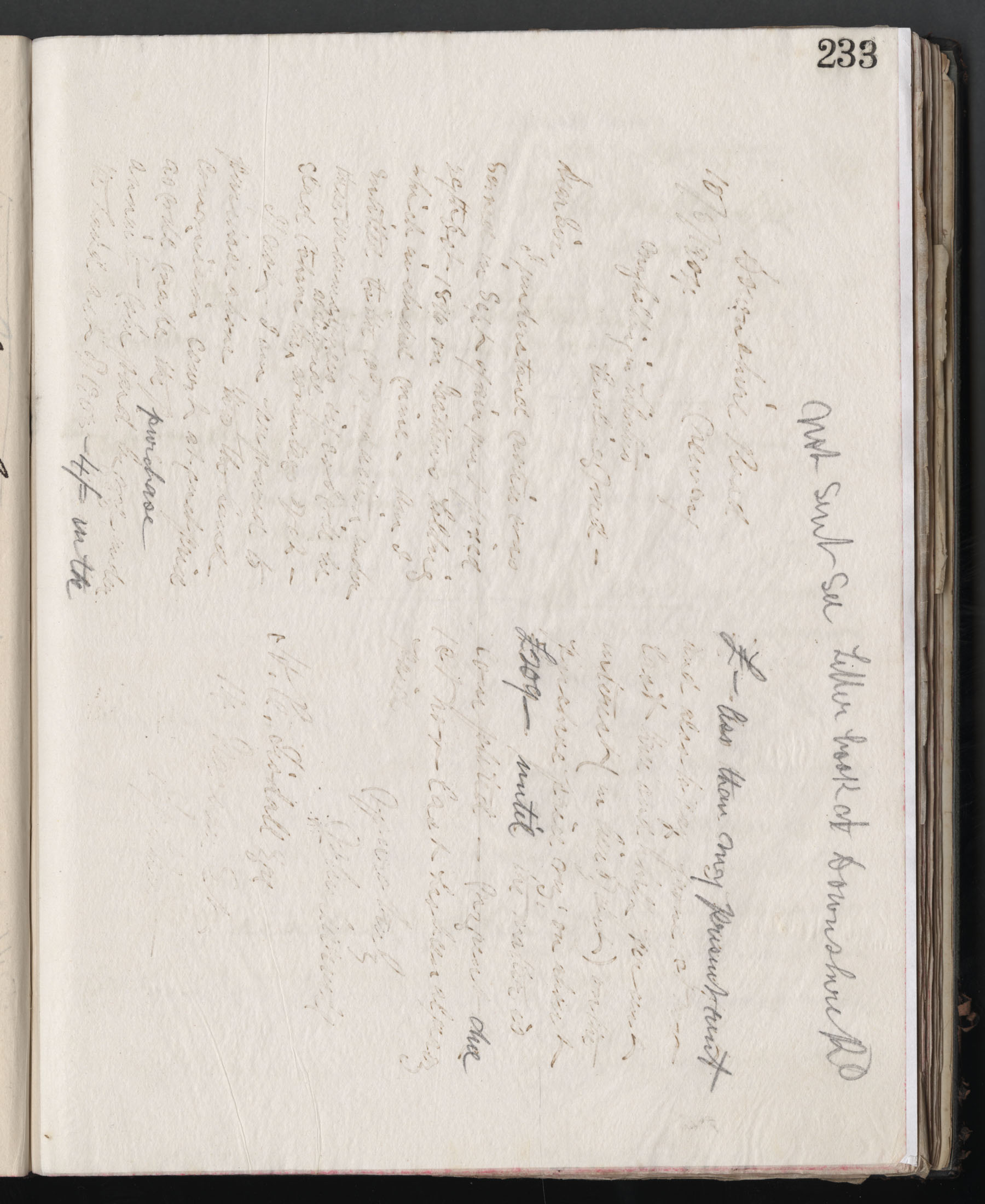 Box 1LB1900_253